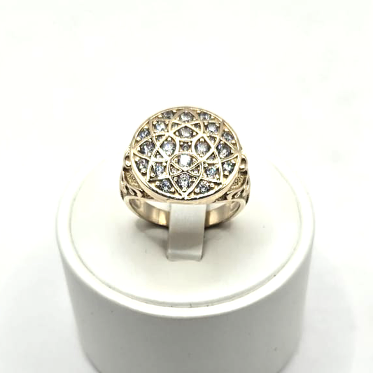 Roseta Men's Ring in 14K Gold and CZ